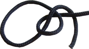 pal5