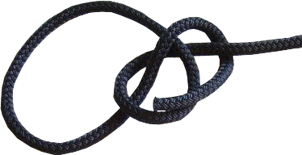 pal6